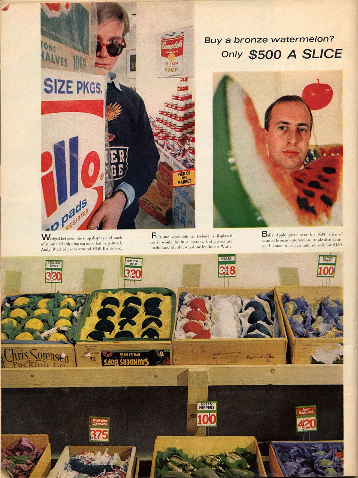Pop Art: Aesthetics of consumption