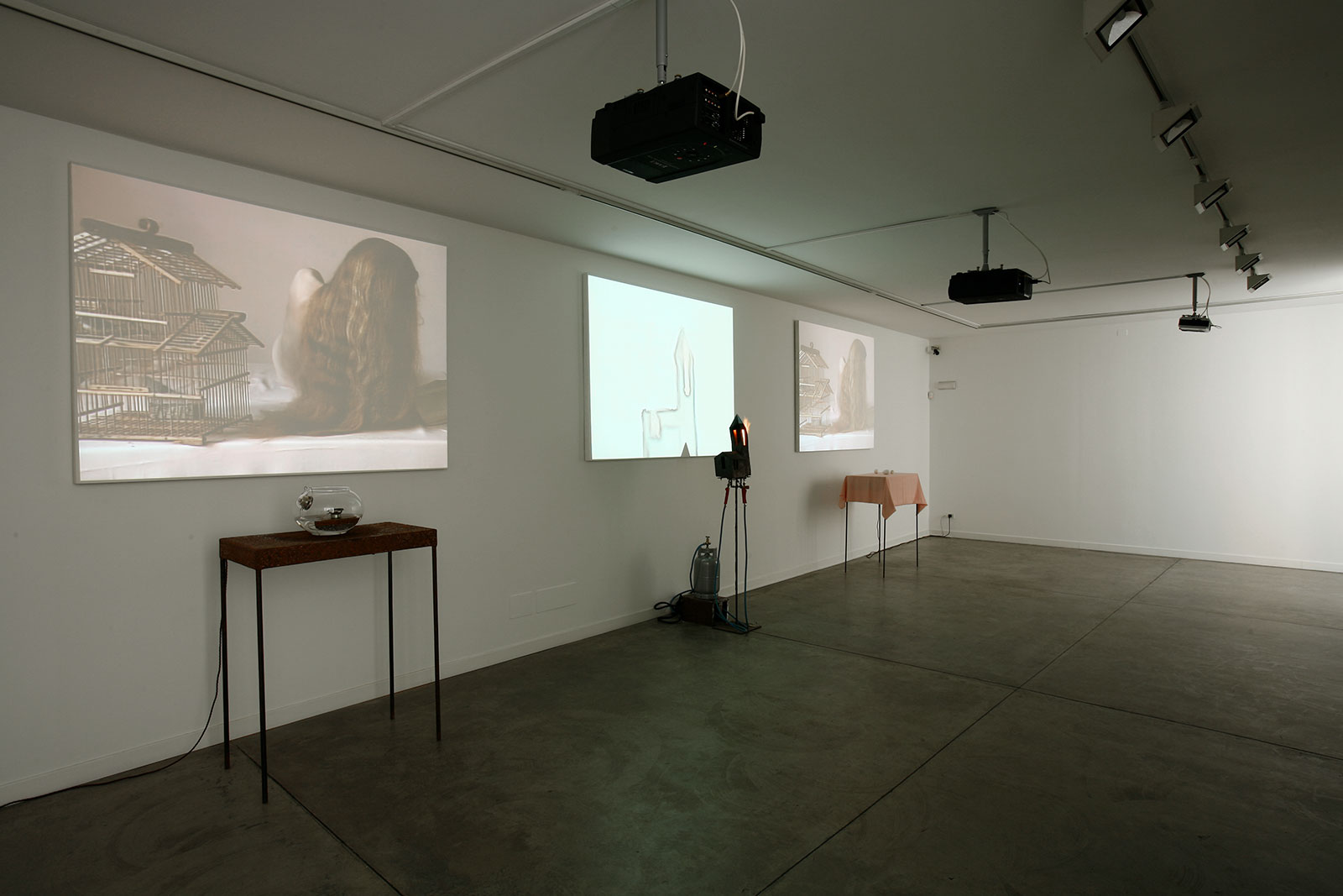 Pier Paolo Calzolari - Cardi Gallery Milan 2006 - Installation views