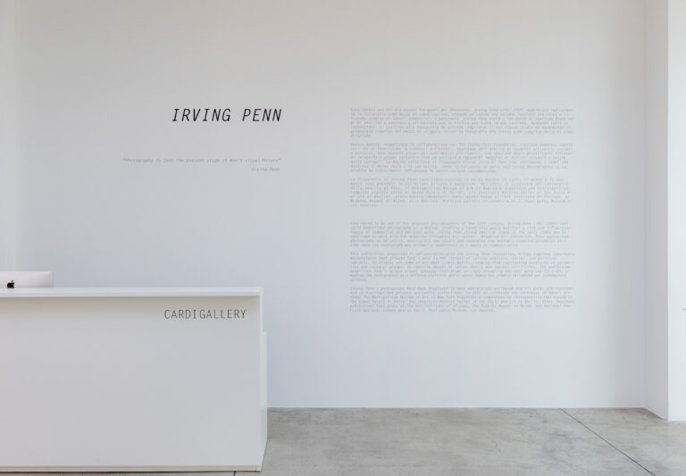 Irving Penn - Cardi Gallery Milan
