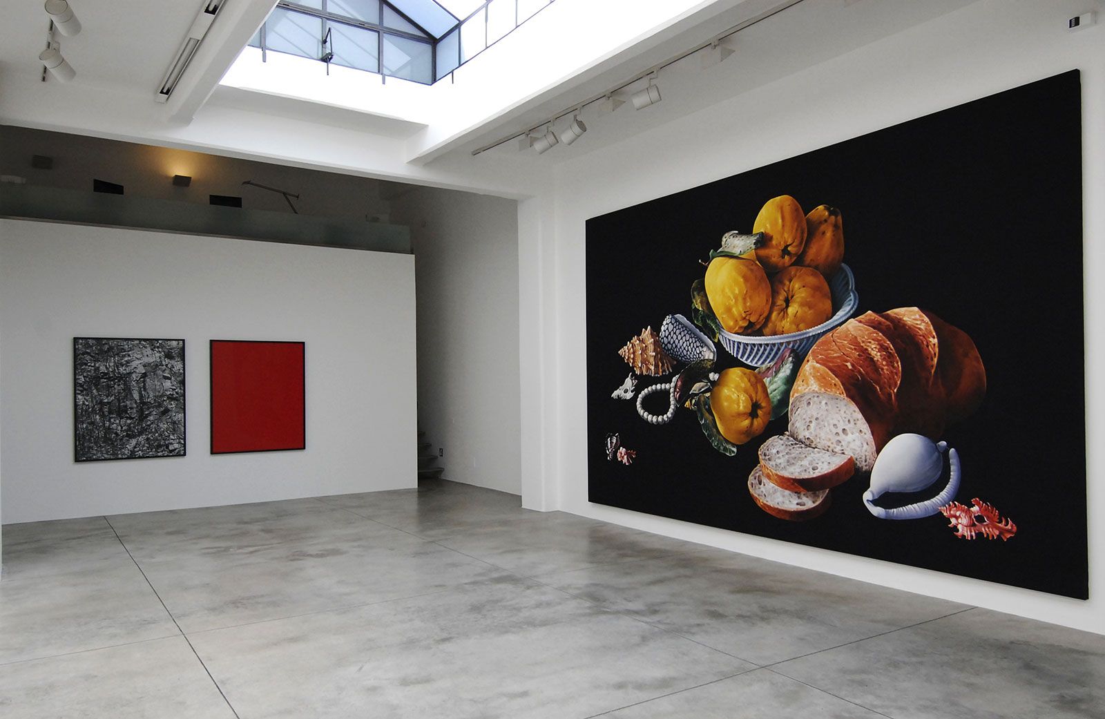 Shirana Shahbazi - Cardi Gallery Milan 2009 - Installation views