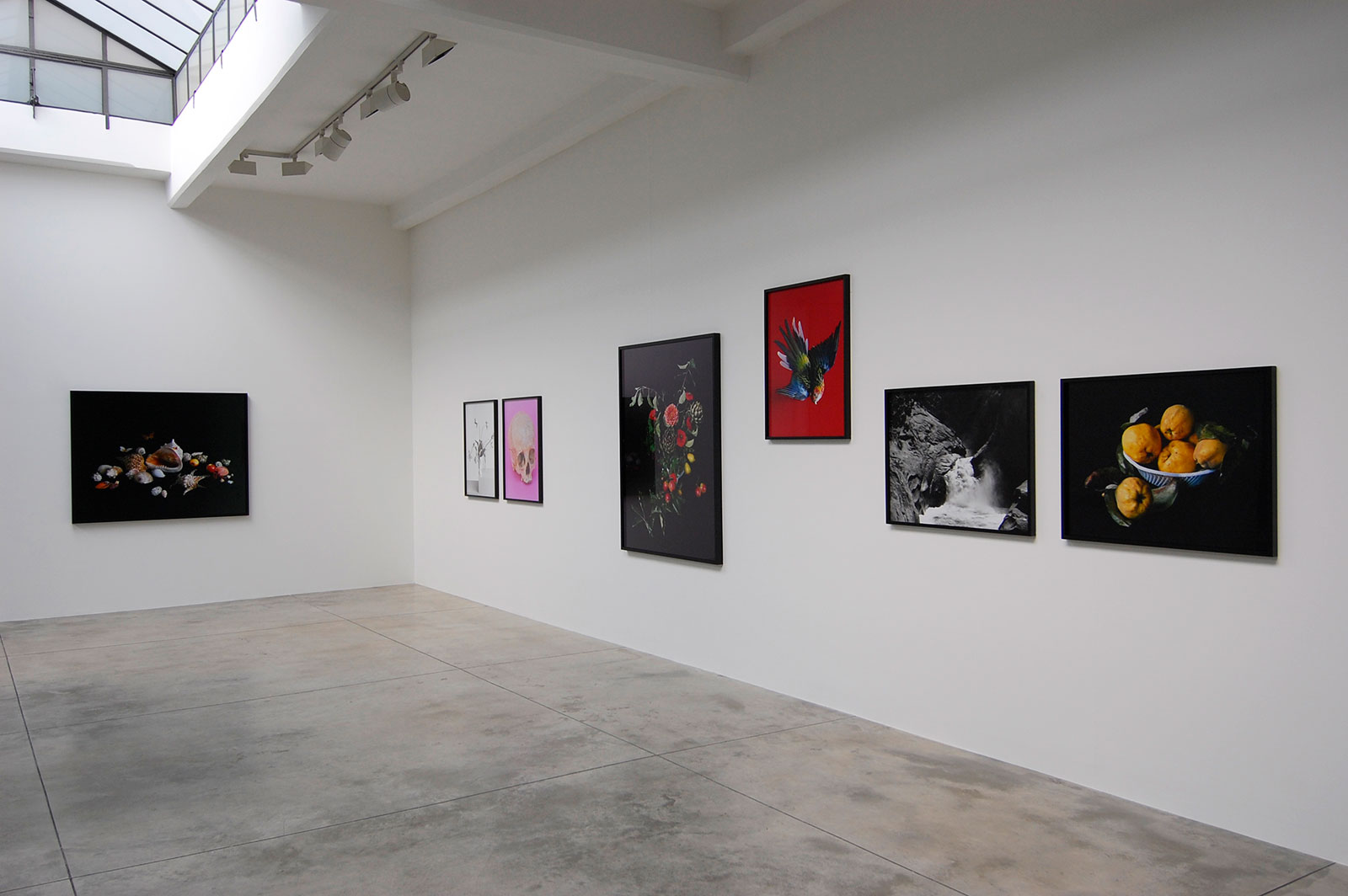 Shirana Shahbazi - Cardi Gallery Milan 2009 - Installation views