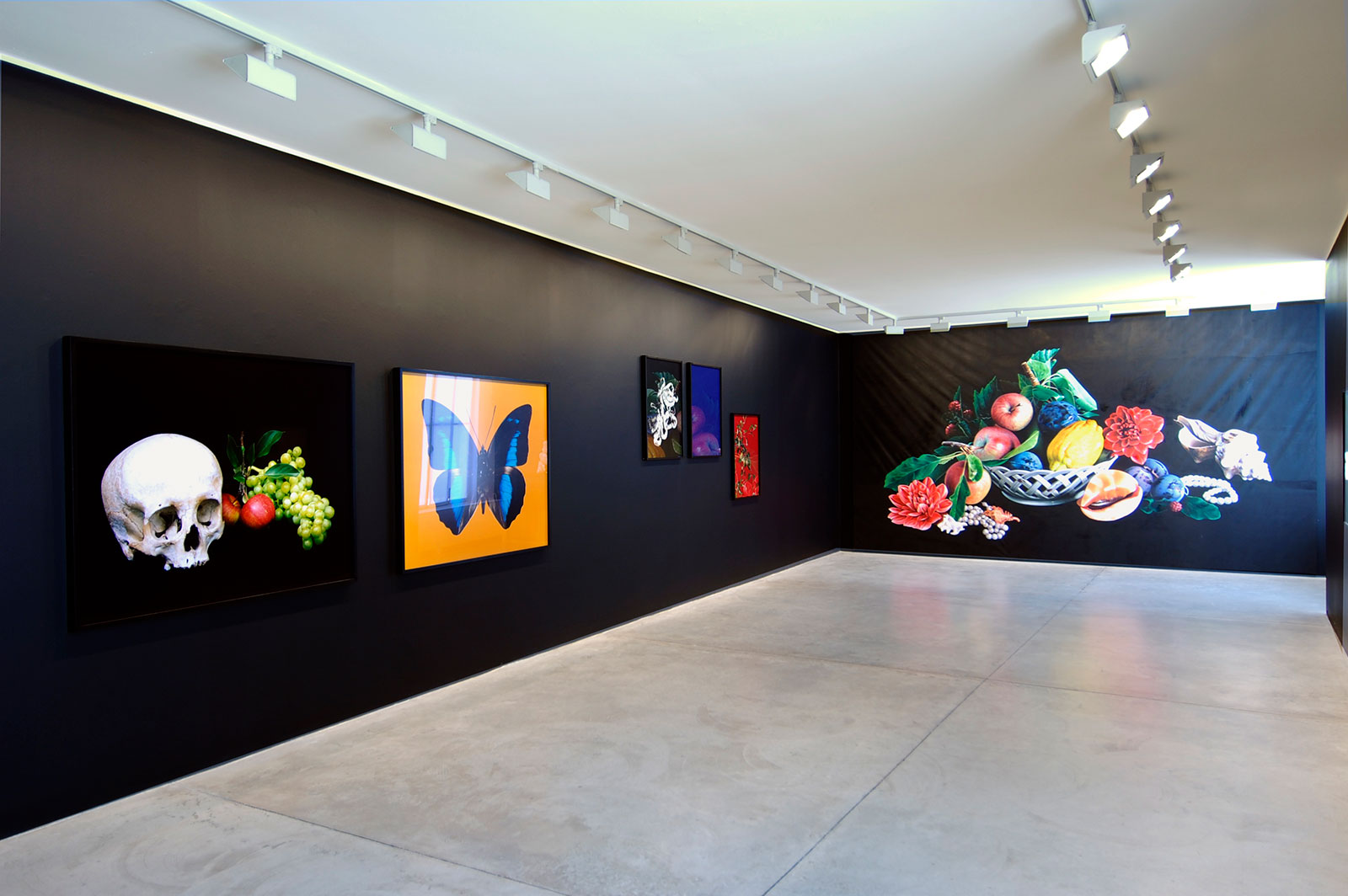 Shirana Shahbazi - Cardi Gallery Milan 2009 - Installation views