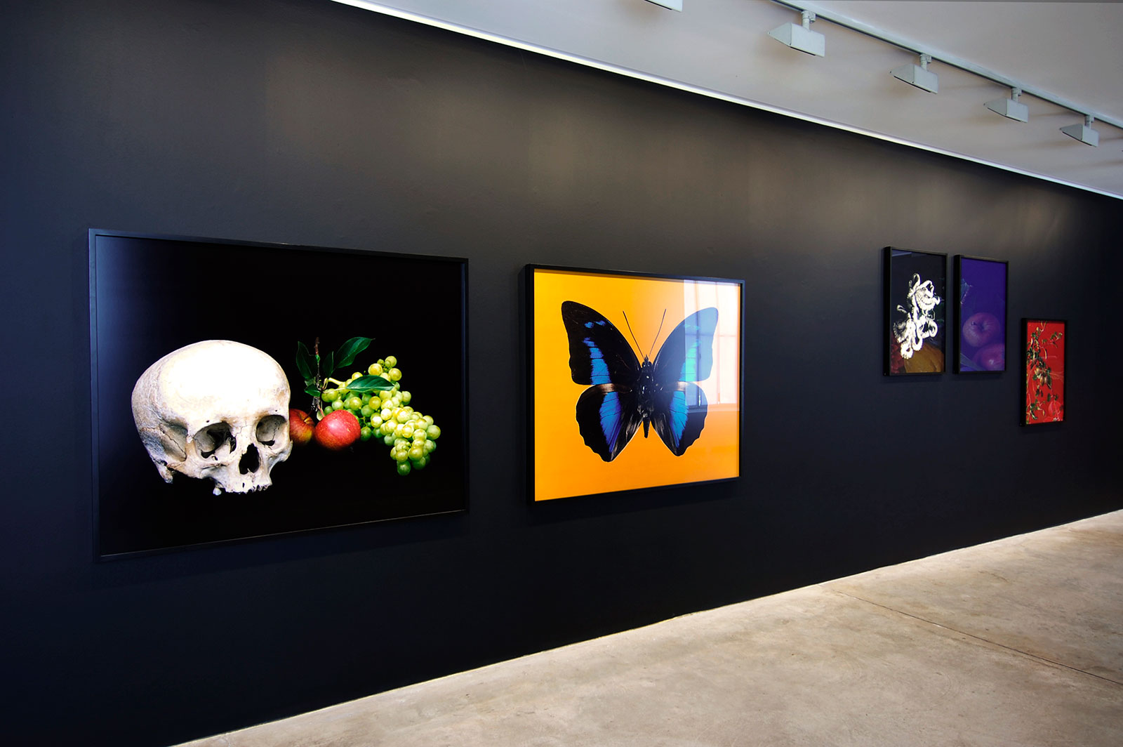 Shirana Shahbazi - Cardi Gallery Milan 2009 - Installation views