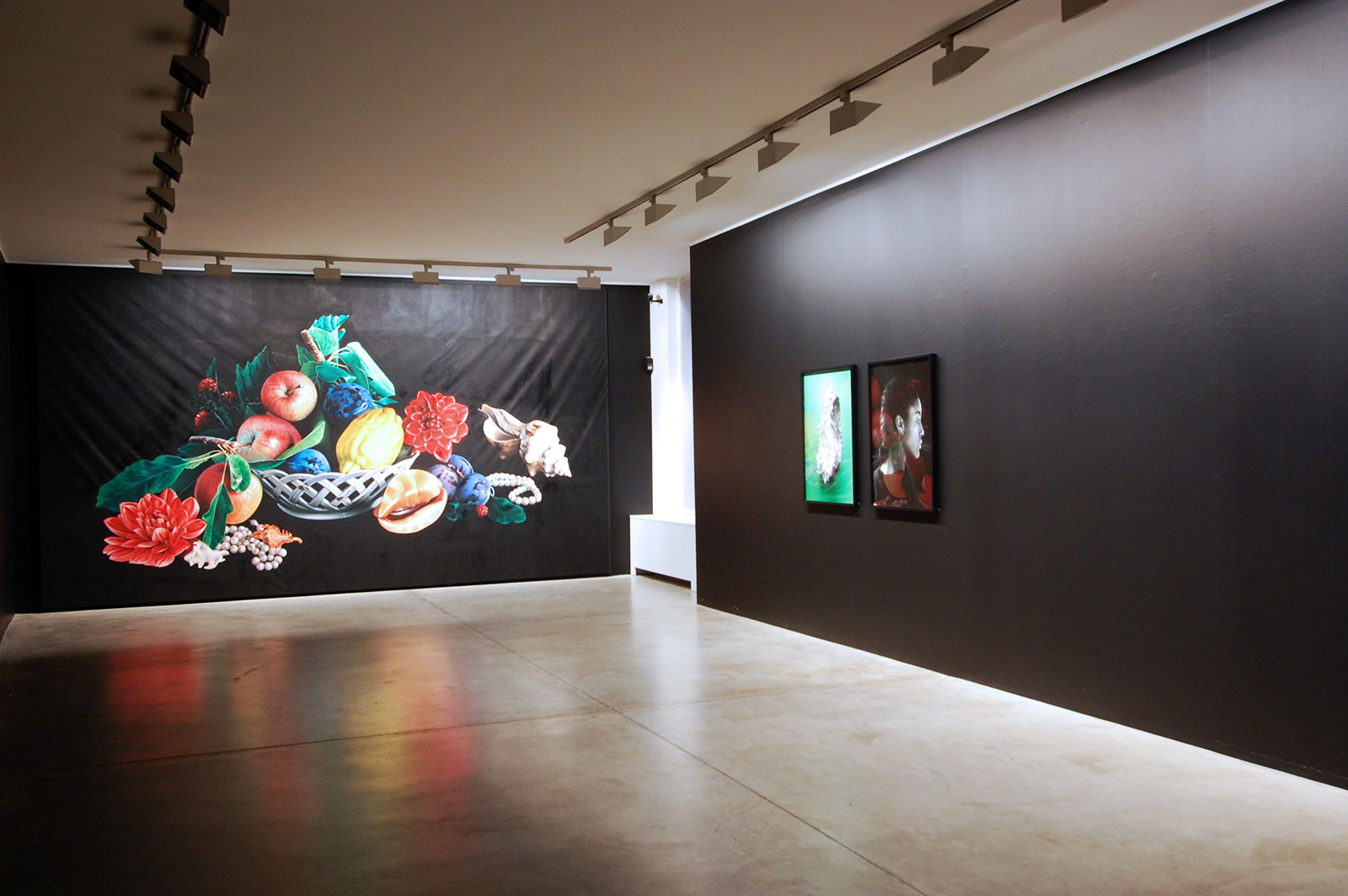 Shirana Shahbazi - Cardi Gallery Milan 2009 - Installation views