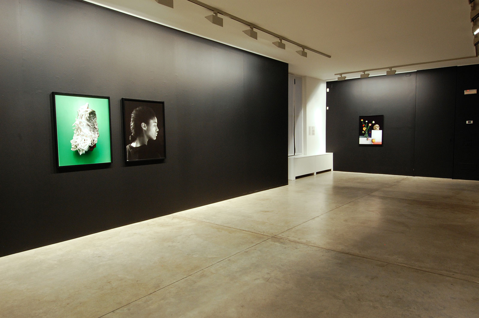 Shirana Shahbazi - Cardi Gallery Milan 2009 - Installation views