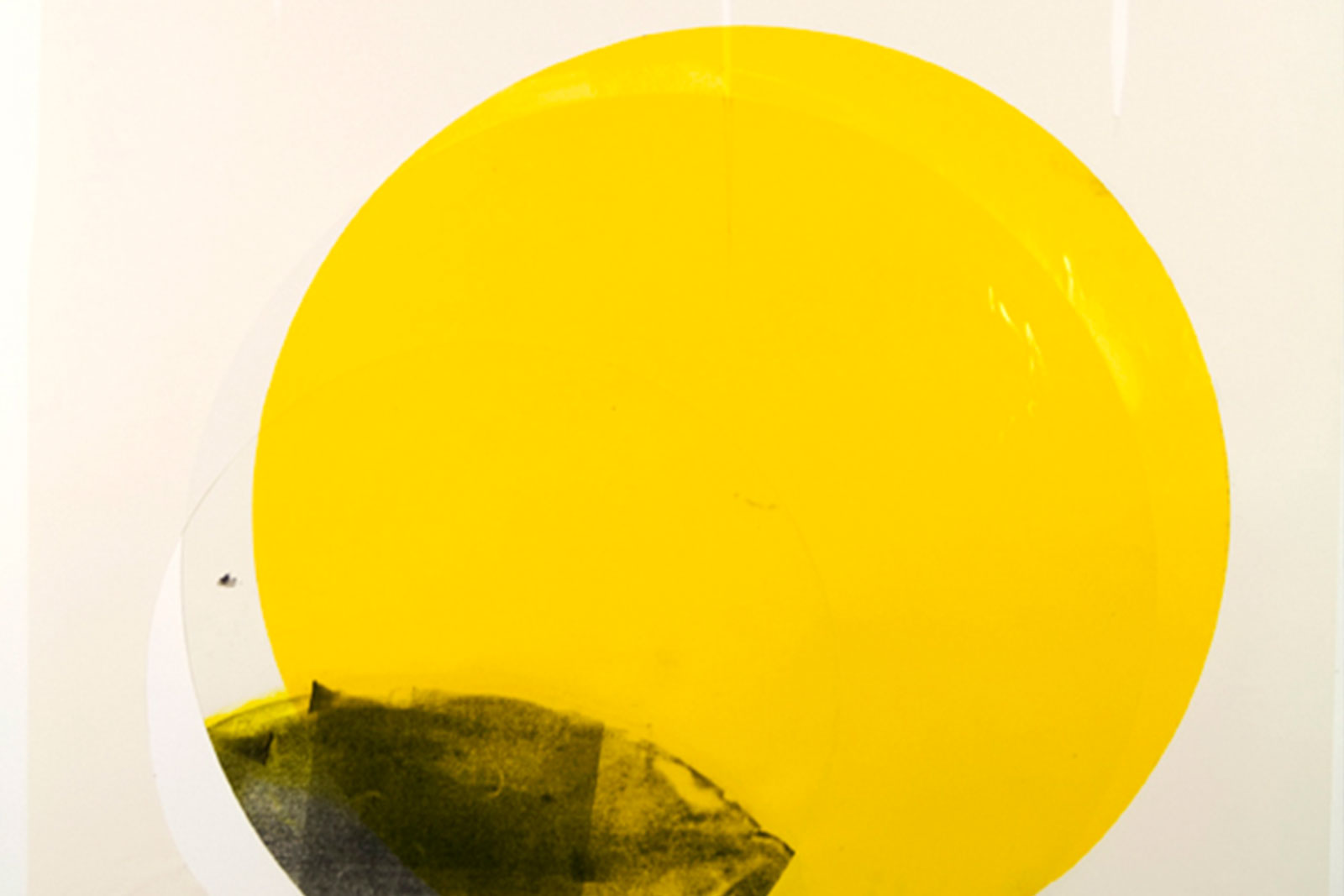 Francesca Anfossi - Cardi Gallery Milan - 2010