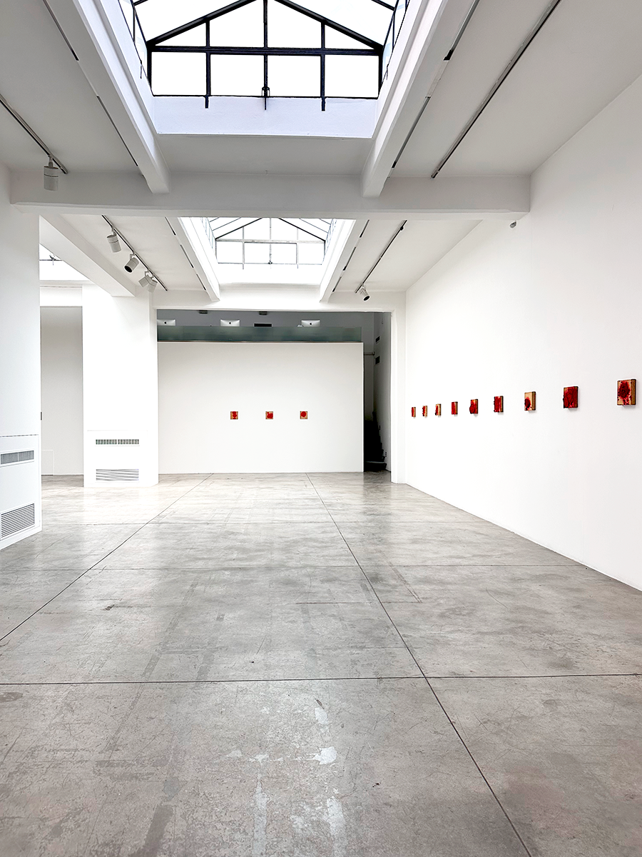 Bosco Sodi - Cardi Gallery Milan 2026 - Installation views