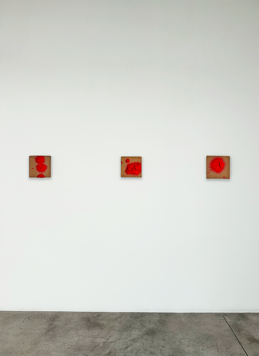 Bosco Sodi - Cardi Gallery Milan 2026 - Installation views