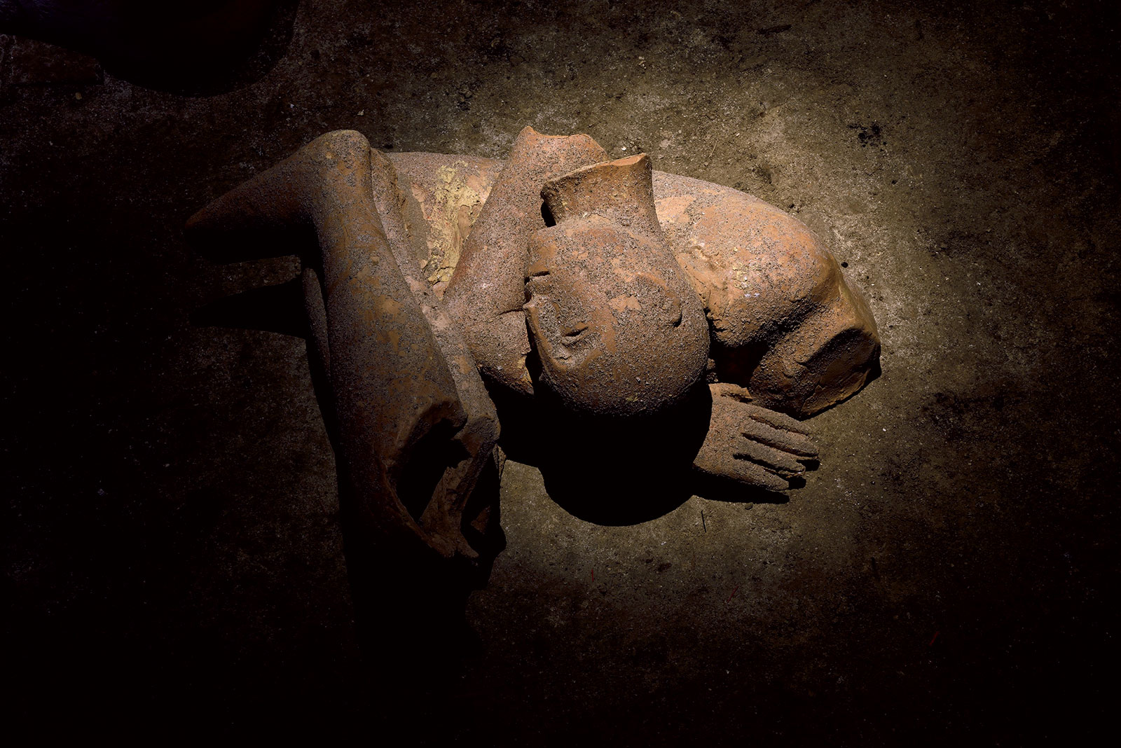 Mimmo Paladino - Cardi Gallery Milan - 2021