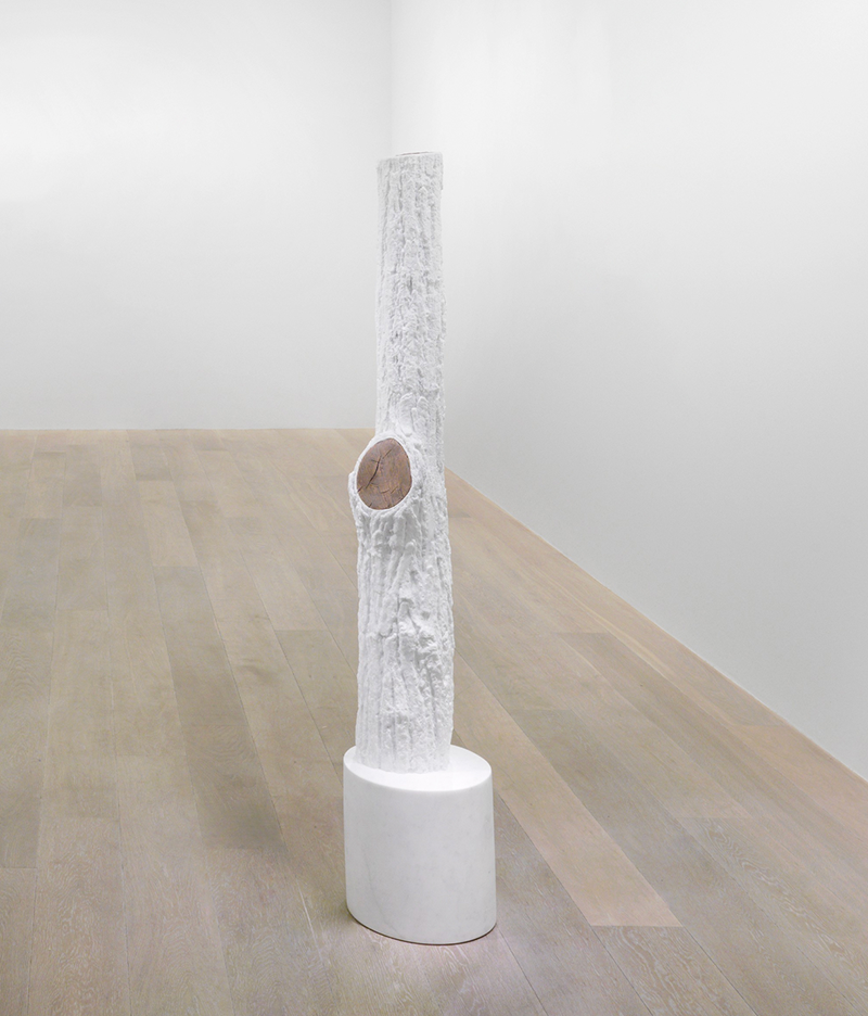 Giuseppe Penone - Indistinti confini (Aciris)