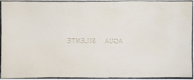 Pier Paolo Calzolari - Agua Silente, 1988