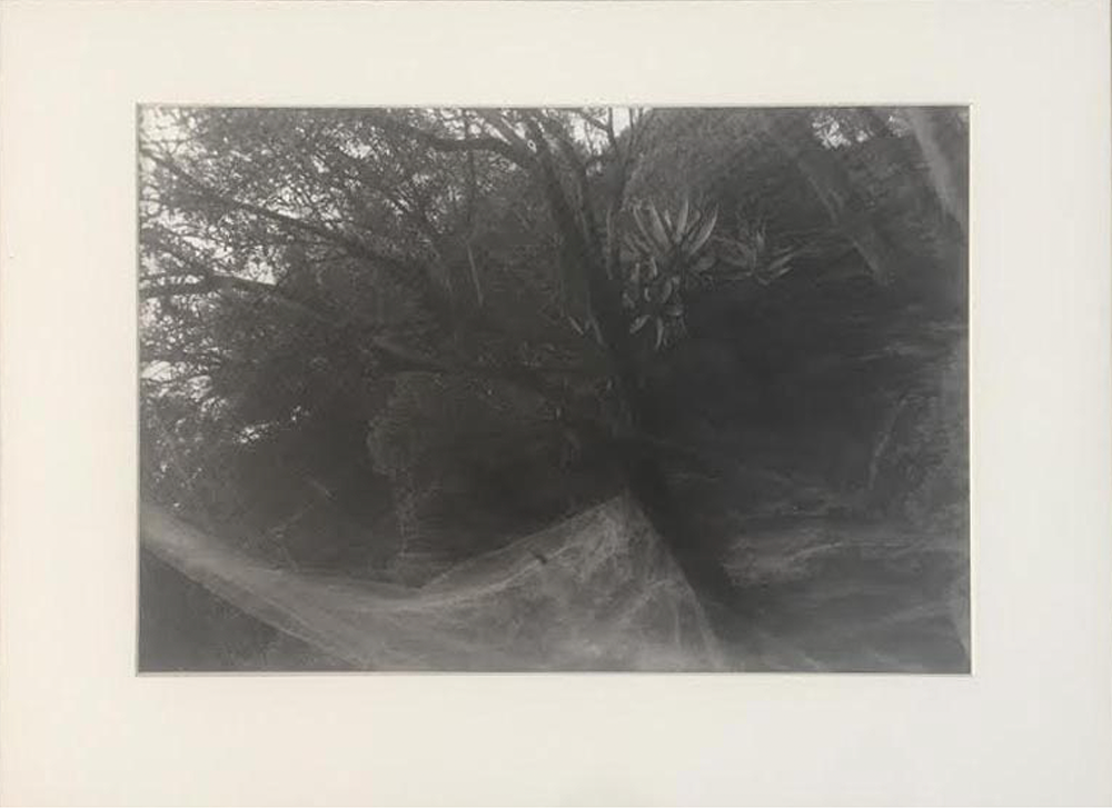 Enzo Obiso -  - 2009