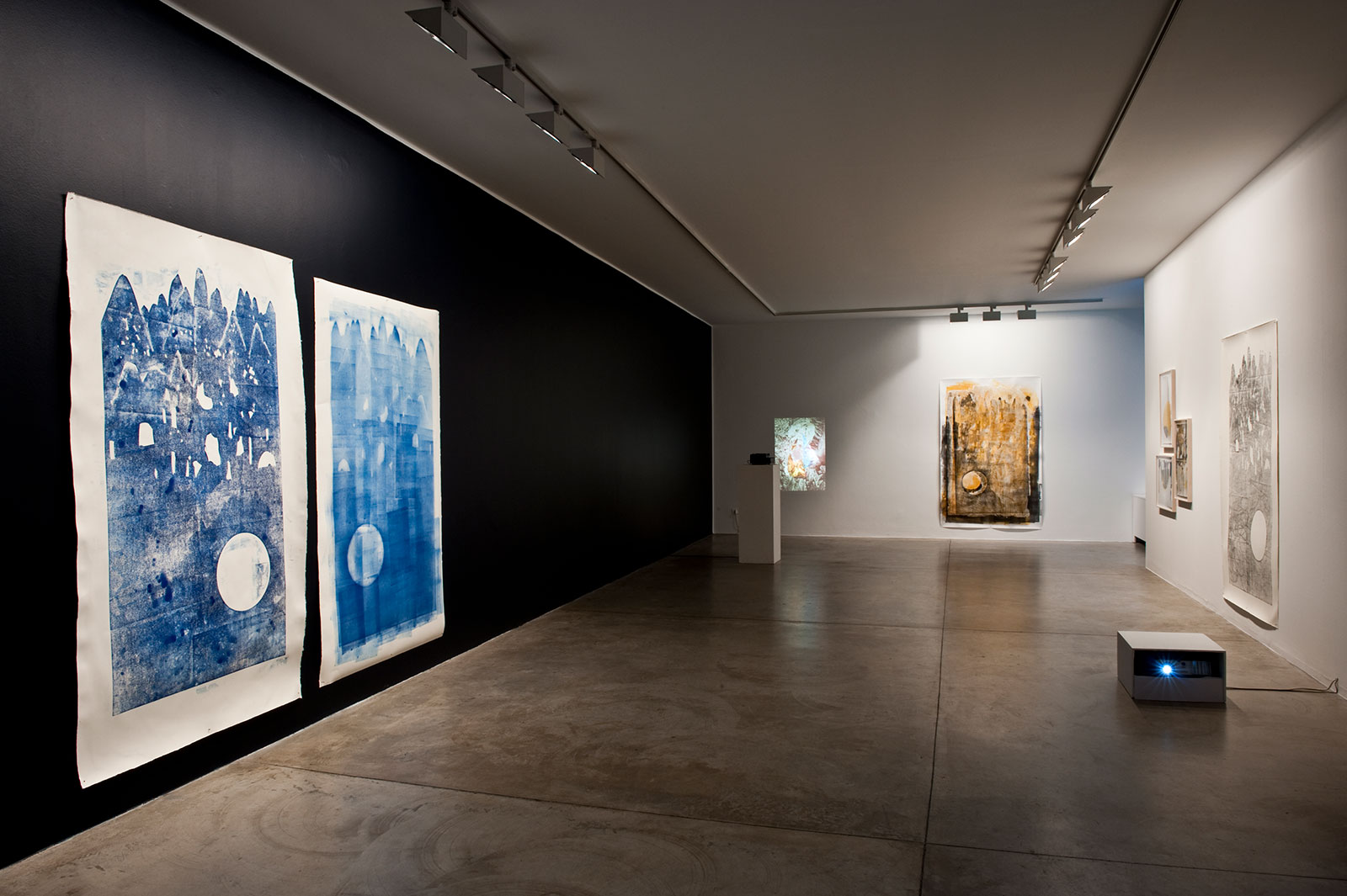 Francesca Anfossi - Cardi Gallery Milan 2010 - Installation views