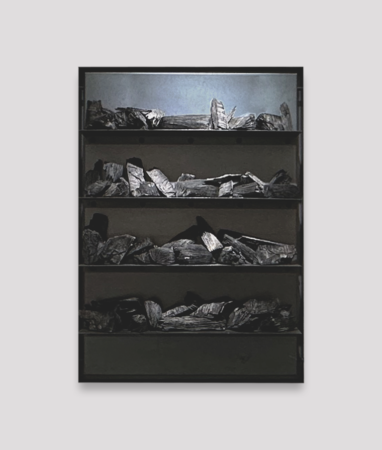 Jannis Kounellis - Untitled, 2006